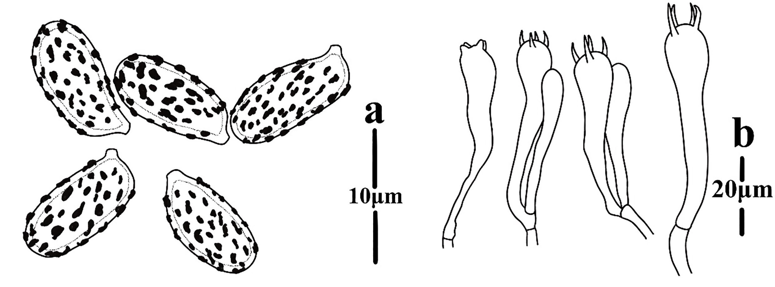 Figure 75